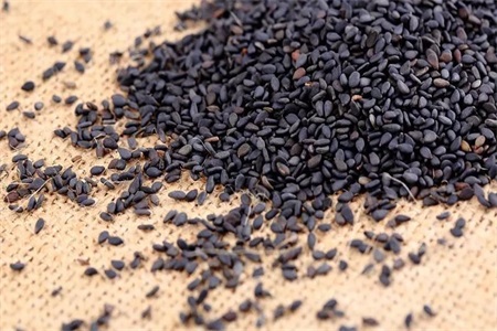 1555060024375338.jpeg w.jpeg