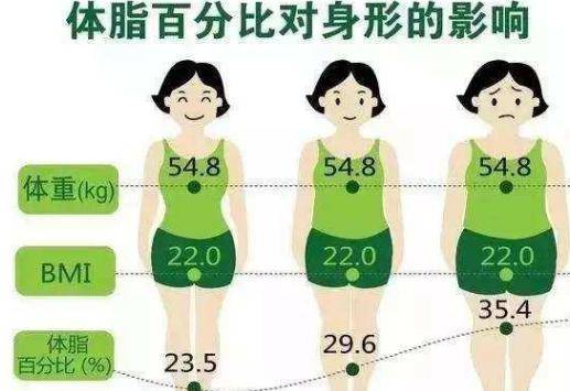 瘦肚子