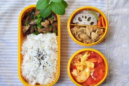 减肥食谱