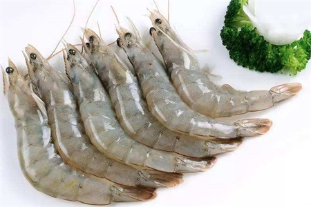 减肥餐