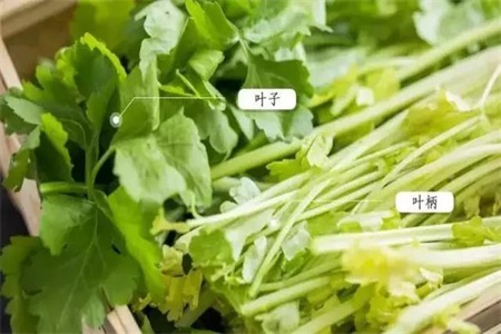芹菜的做法