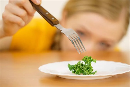 ji减肥食谱
