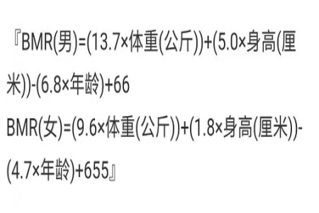 减肥食谱
