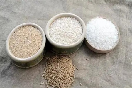 减肥食谱一周瘦10斤