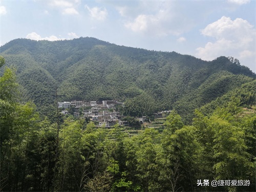 安徽省 黄山市 黟县 木坑竹海景区