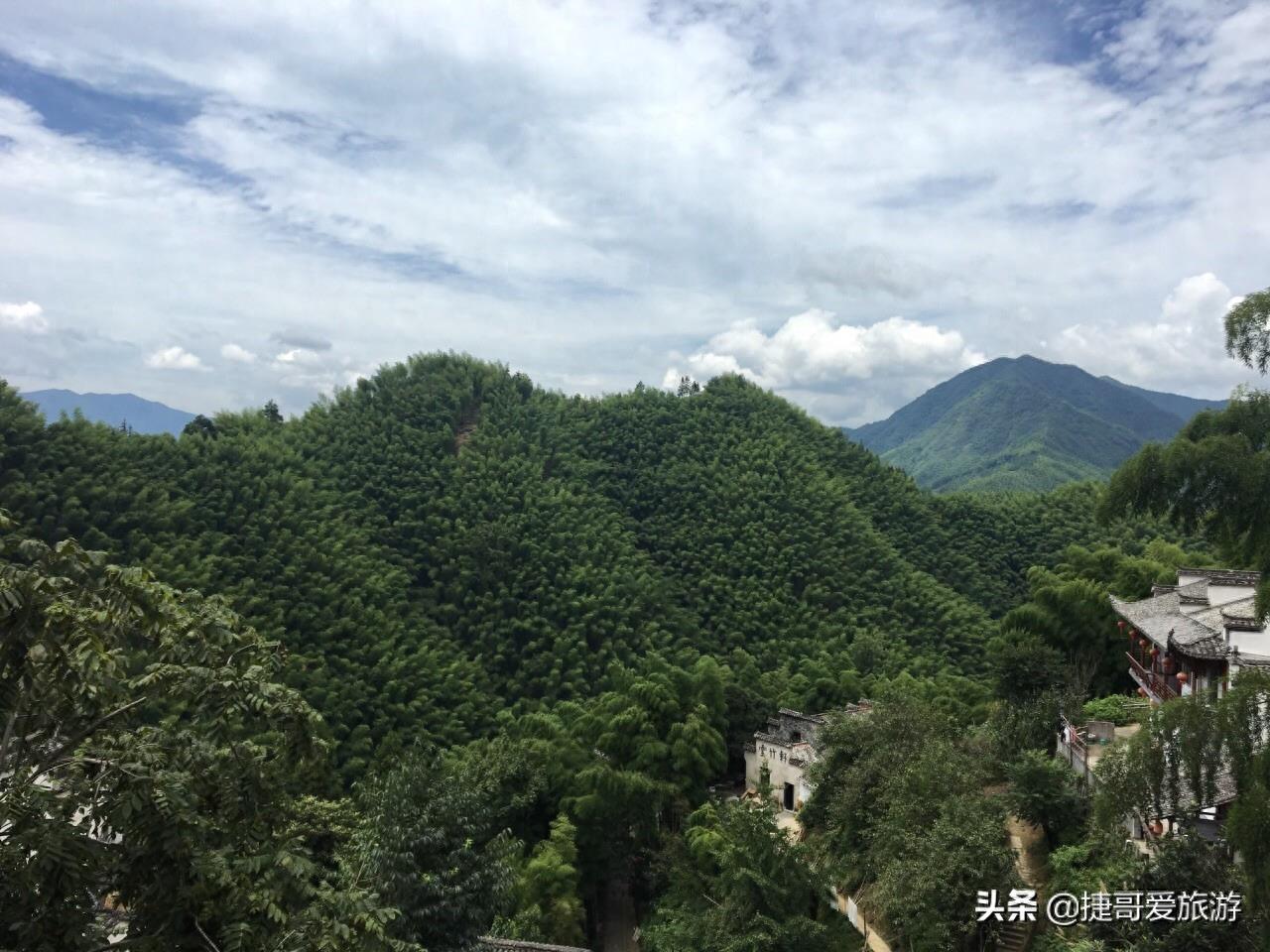 安徽省 黄山市 黟县 木坑竹海景区
