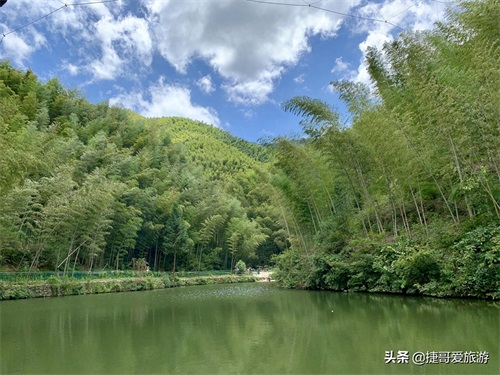 安徽省 黄山市 黟县 木坑竹海景区
