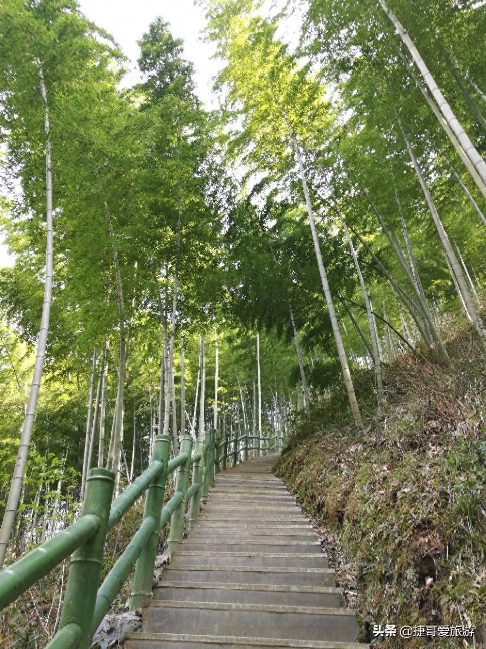 安徽省 黄山市 黟县 木坑竹海景区