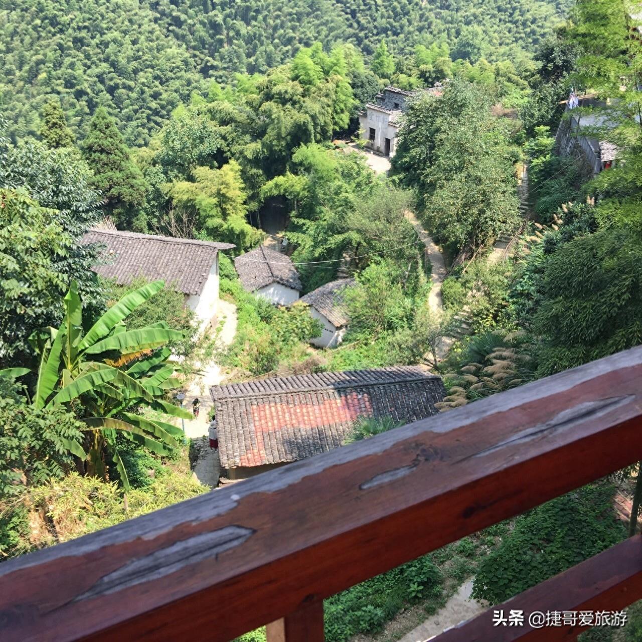 安徽省 黄山市 黟县 木坑竹海景区