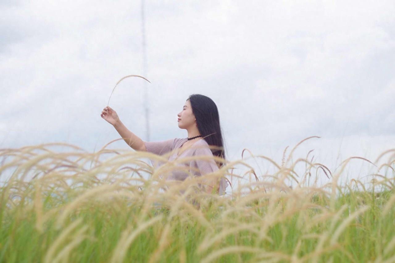 也许很多人知道，狗尾巴草花语是什么？