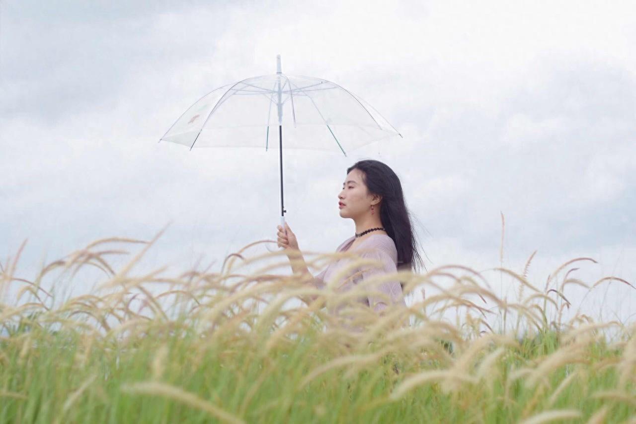 也许很多人知道，狗尾巴草花语是什么？